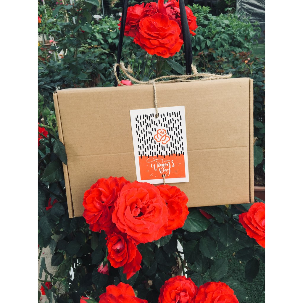 Hộp quà tặng Đông y gia truyền Thông Cát (Since 1918)_ Món quà tặng người thân yêu 2021 | BigBuy360 - bigbuy360.vn