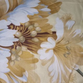 Bộ Ga Cotton 4 Món 1m2