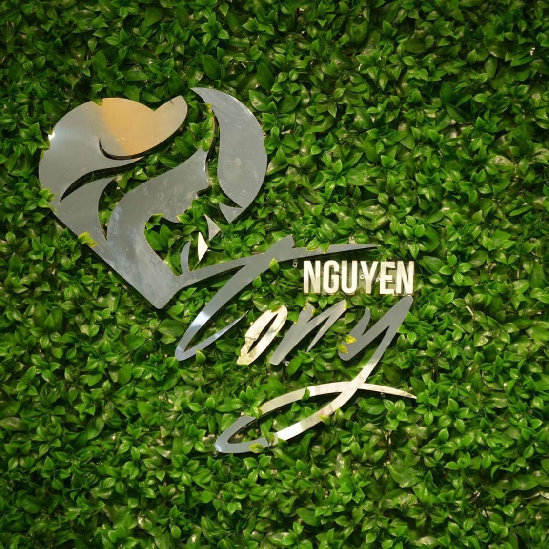Shop Tony Nguyen