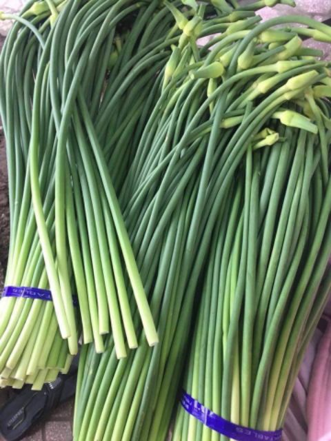 1kg Rau ngồng tỏi đặc sản Lý Sơn