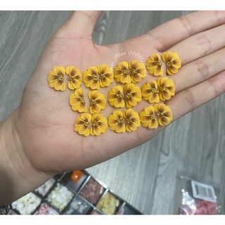 hoa bột làm nail giá rẻ (MUA 10 tặng 1)