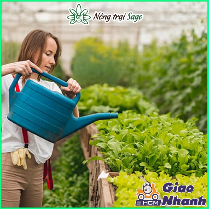 Phân Bón Lá Đầu Trâu Kích Đẻ Nhánh, Nảy Chồi, Ra Lá - Đầu Trâu MK 30-10-5 (gói 10gram) - Nông Trại Sago