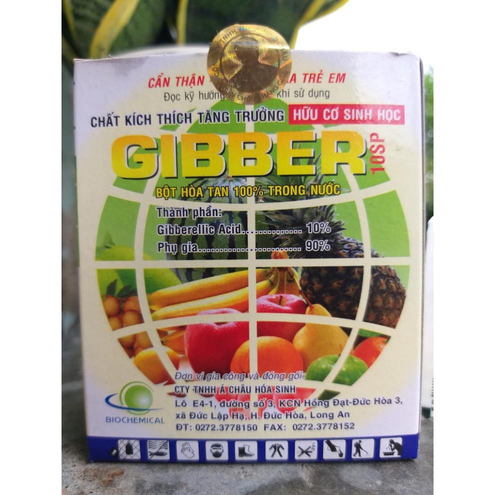 Phân Bón Lá GIBBER Kích Thích Tăng Trưởng