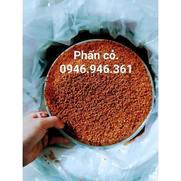1KG PHẤN  .