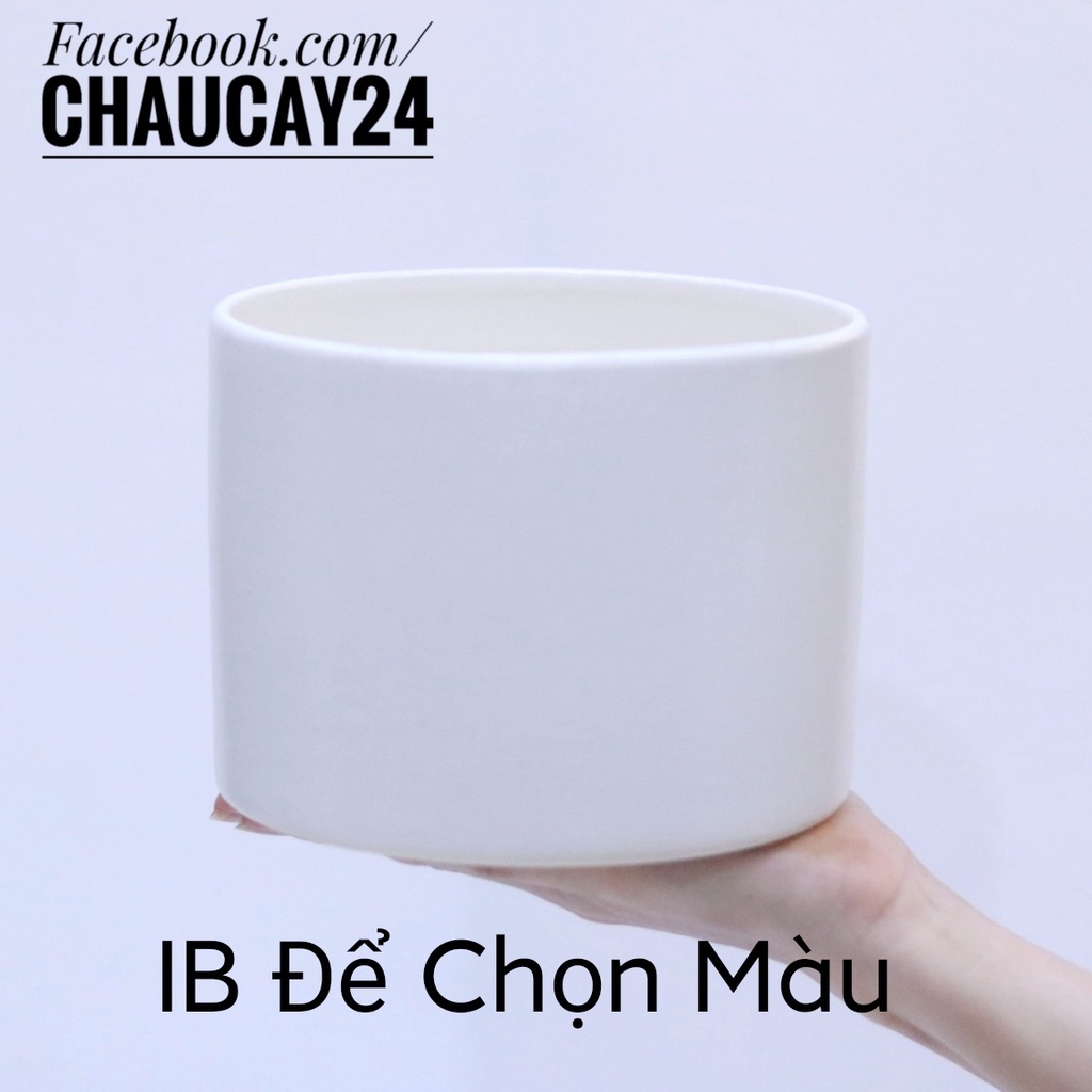 Chậu sứ trồng cây cảnh mini, cây nội thất, cây để bàn, cây hoa kiểng hình trụ trơn