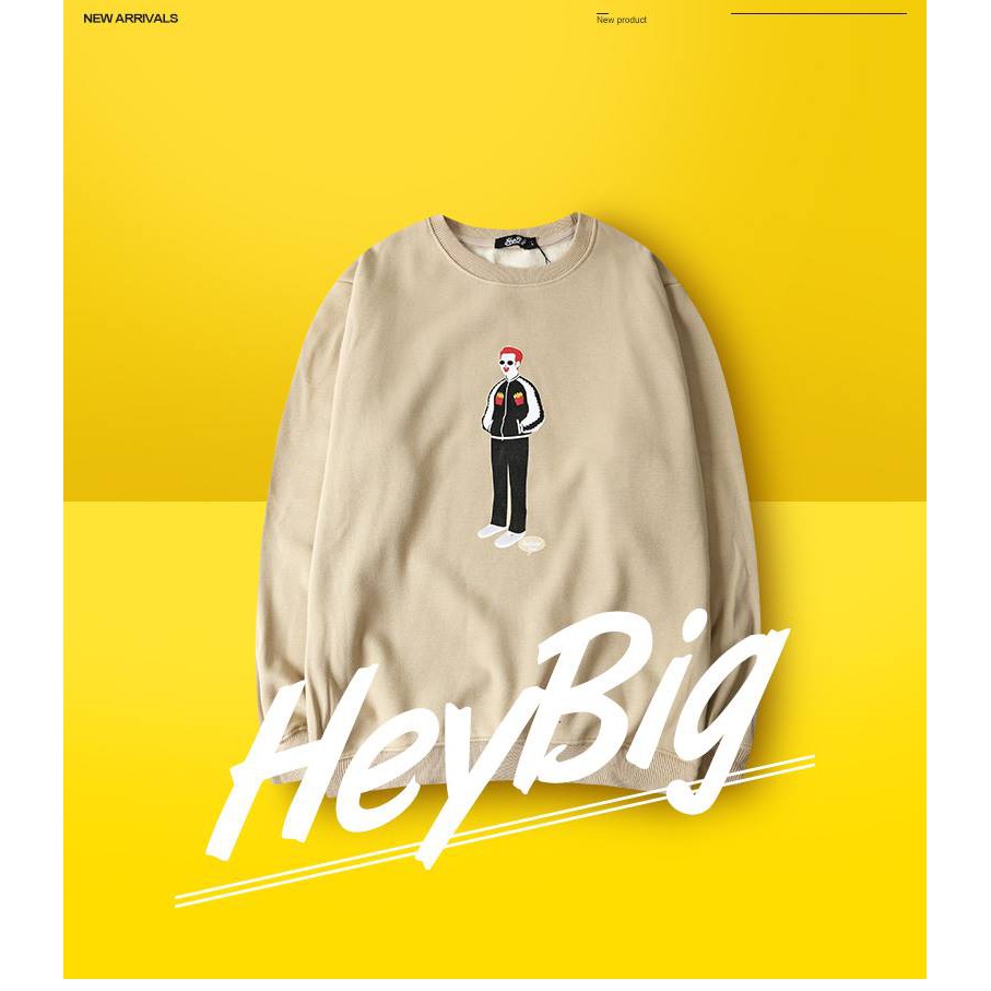 SALE 80% Order Aó Hoodie lót nỉ HeyBig