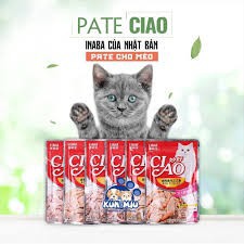 Pate Ciao cho mèo, Súp Thưởng CIAO 60g Cho Mèo nhiều vị