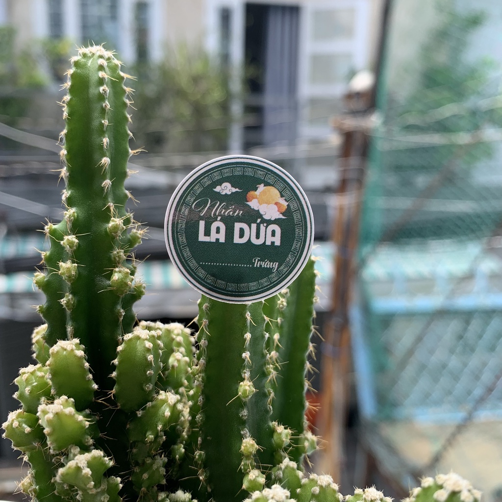 500 Tem Nhân Bánh Trung Thu 2.6 cm - Mẫu mới 2022