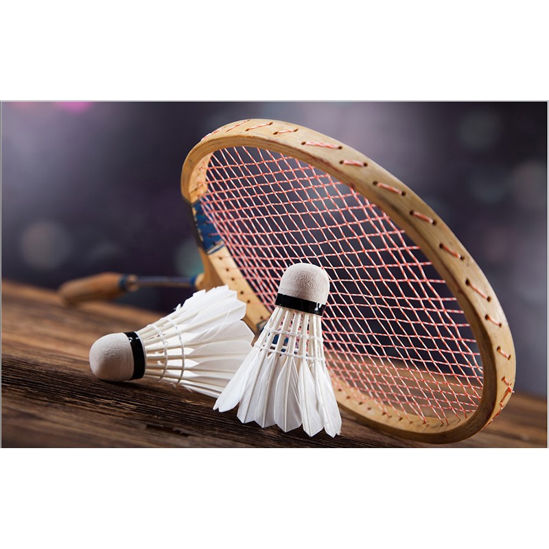 Ống cầu lông Hải Yến 12 quả ( Xanh Biển ) sử dụng trong luyện tâp và thi đấu hàng Việt Nam chất lượng cao - LICLAC