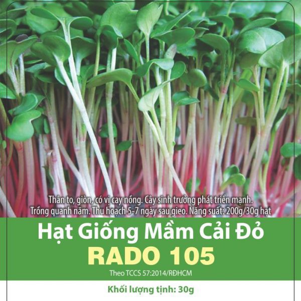 Hạt giống Mầm Cải Đỏ Rado 105 (30gr)