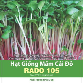 Hạt giống mầm cải đỏ rado 105