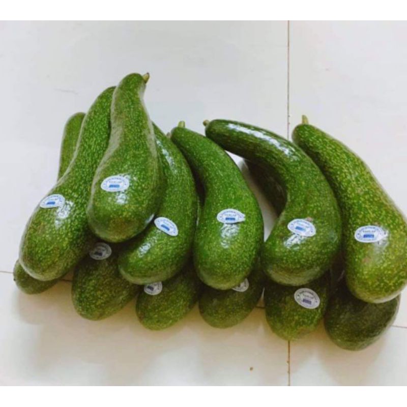 2kg Bơ 034 nhà trồng Lâm Đồng