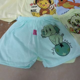 Combo 10 quần đùi cho bé