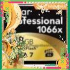 sausam2801   -  Thẻ nhớ 128GB CF Lexar Professional 1066X 160M/s, Thẻ tray | BigBuy360 - bigbuy360.vn