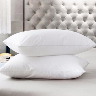 Ruột gối trắng kéo khoá 1 chiếc size 50*70