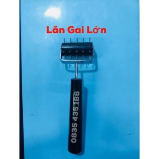 LĂN GAI ĐƠN LỚN - Dung Cụ Diện Chẩn