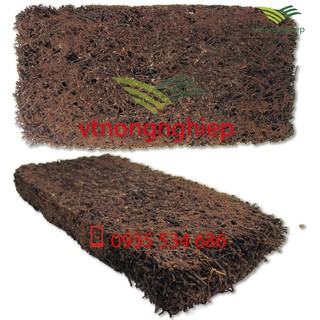Dớn bảng trồng lan kích thước 30x15x2.5(cm)