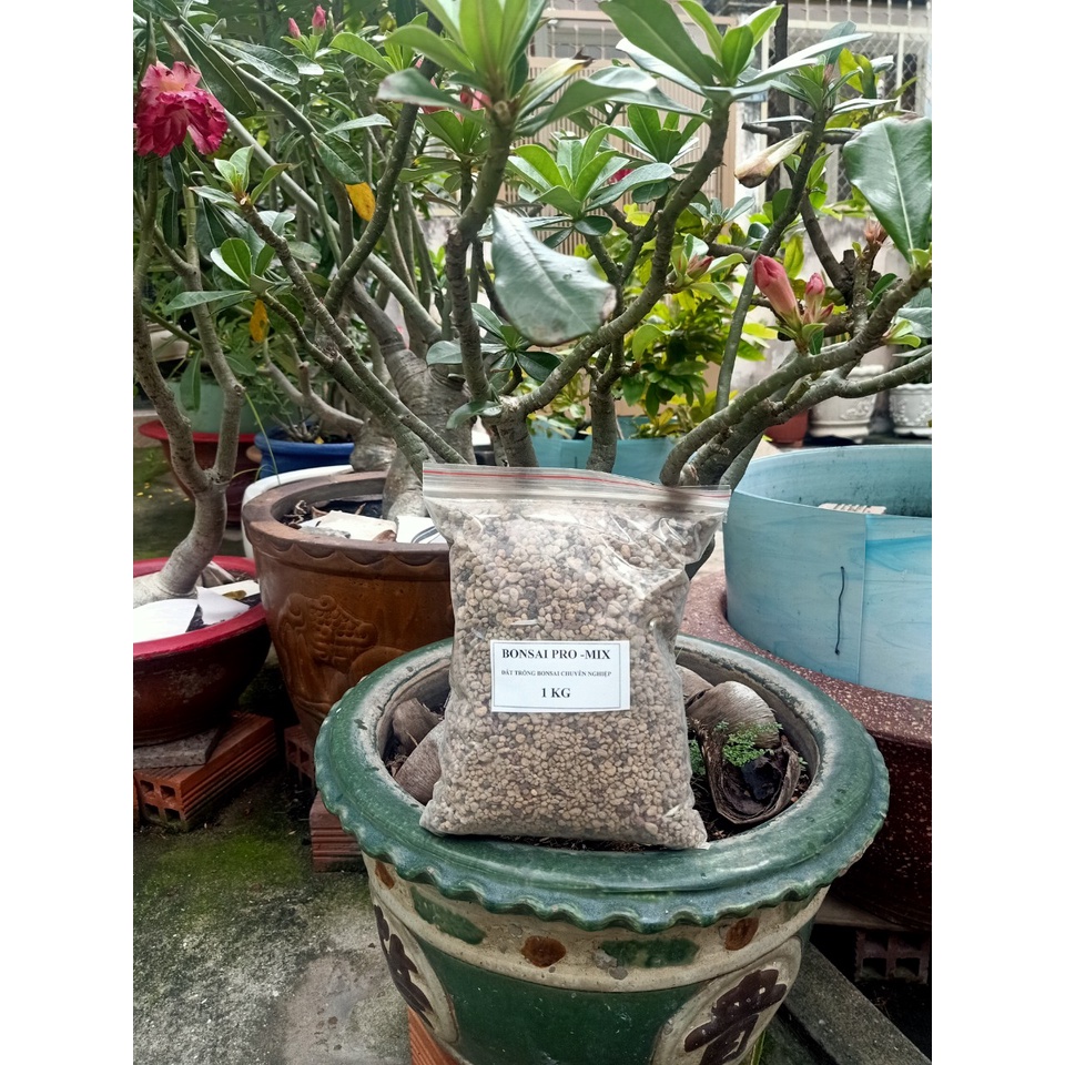 Akadama Đất nung Nhật Bản, Kanuma,đá samato,đá pumice,đá diatomite,đá nham thạch, đất trộn bonsai, sen đá nhiều size 1kg