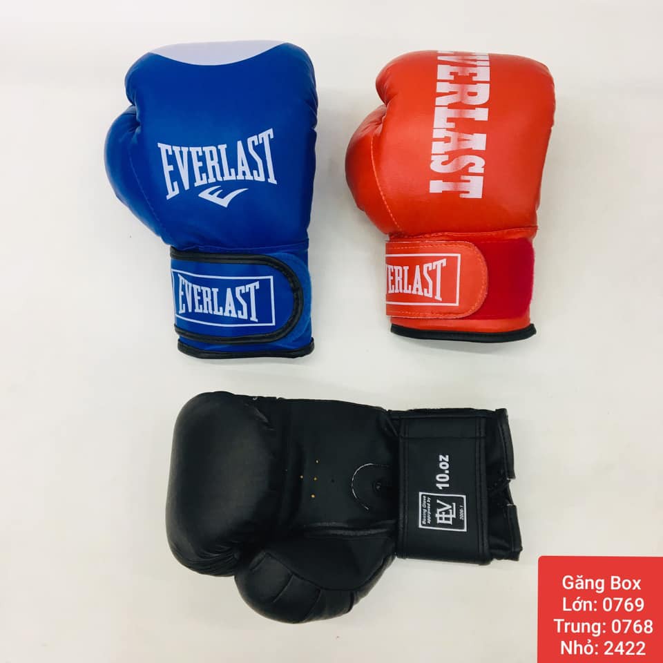 Bao Tay Tập Võ Boxing Găng Tay Quyền Anh Everlast