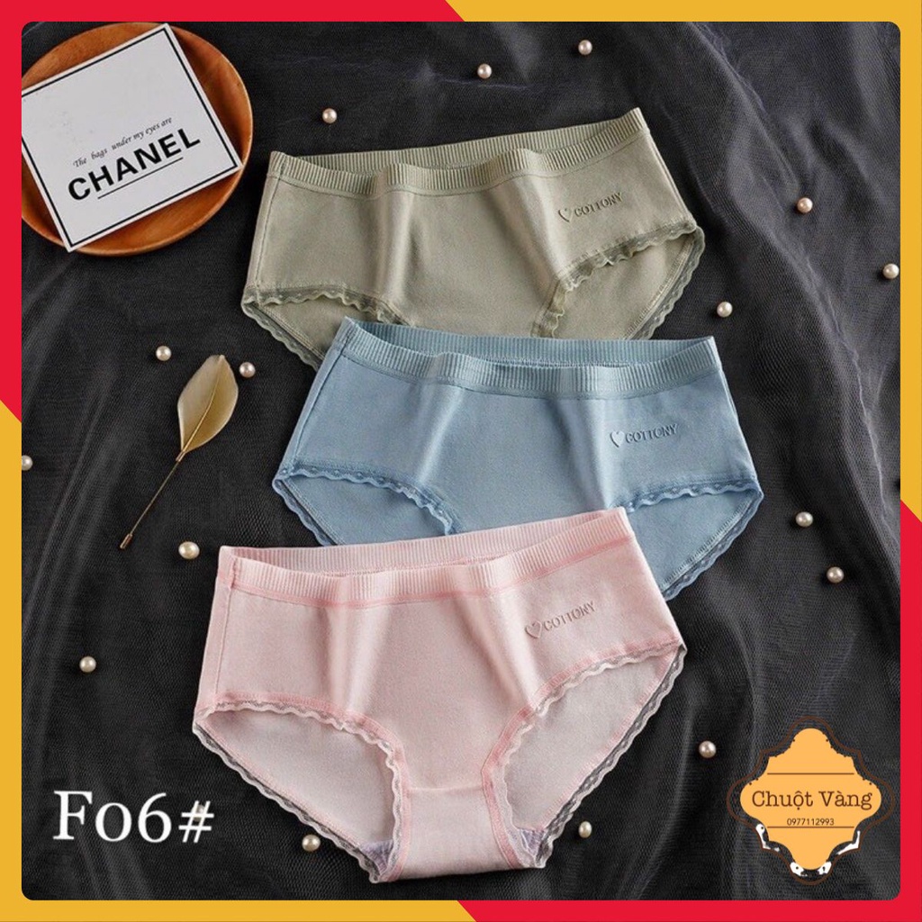 COMBO 10 QUẦN LÓT COTTONY VIỀN REN DỄ THƯƠNG