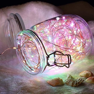 Đèn đom đóm/fairy light màu