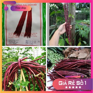 Hạt giống đậu đũa đỏ ( NGON GIÒN DỄ ĂN)- 3gr LUCKY.VN