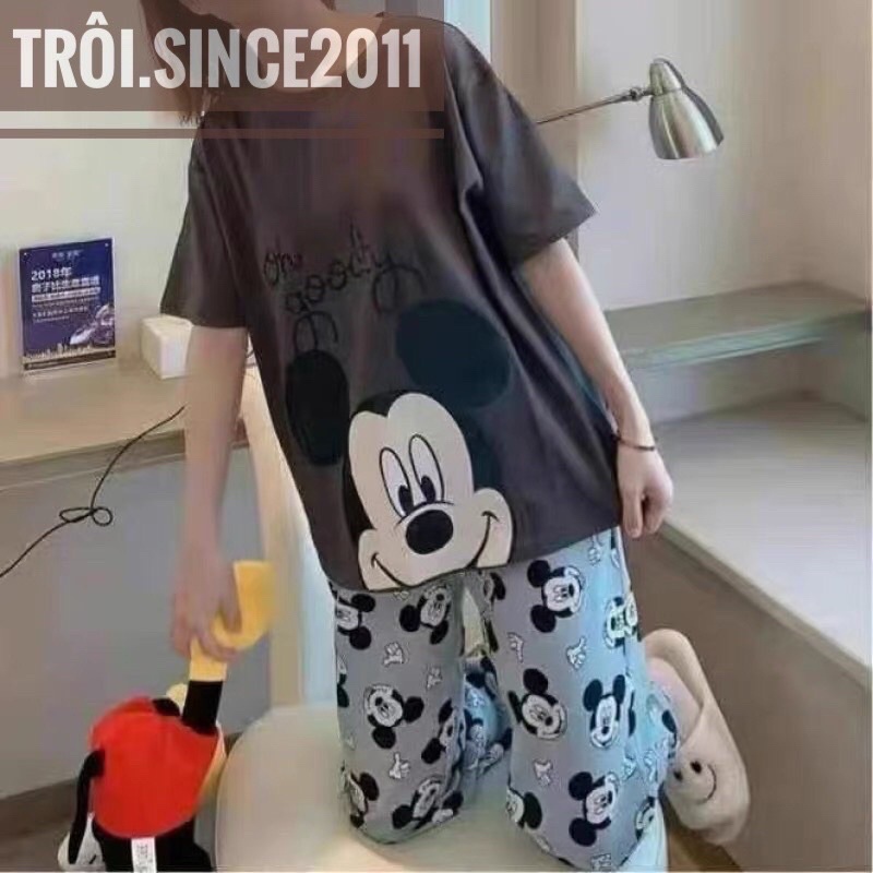 (Siêu rẻ) Bộ mặc nhà nữ tay ngắn hoạ tiết trẻ trung, chất thun co dãn