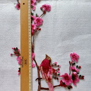 Hoa mai bộ 01