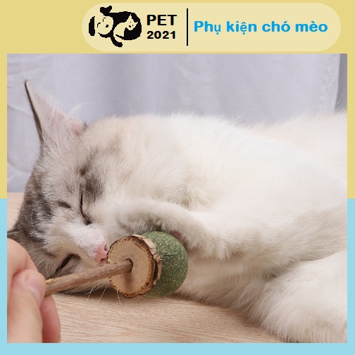 Cỏ Bạc Cho Mèo Hình Kẹo Mút, Giúp Mèo Thư Giãn Tiêu Búi Lông - PET2021