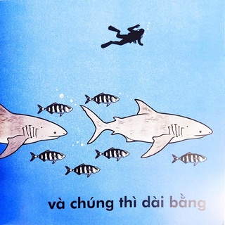 Sách-Cá voi dài bao nhiêu?