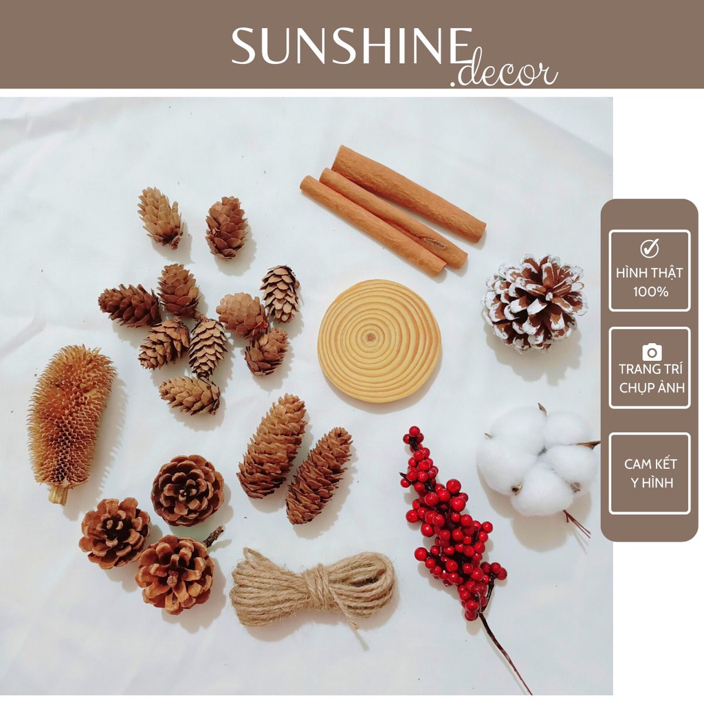 Set đồ khô 11 món decor trang trí chụp ảnh sản phẩm Vintage-Sunshine.decor
