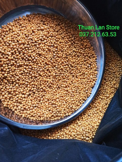 Phân Tan Chậm Hạt Vàng Osmocote 14-14-14 nhập Mỹ gói 200g