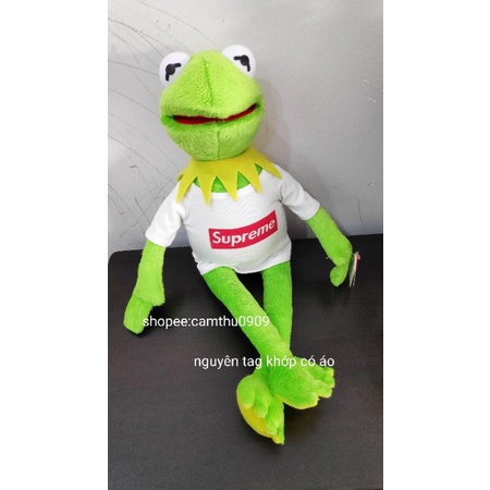 Gấu bông ếch Kermit meme màu xanh