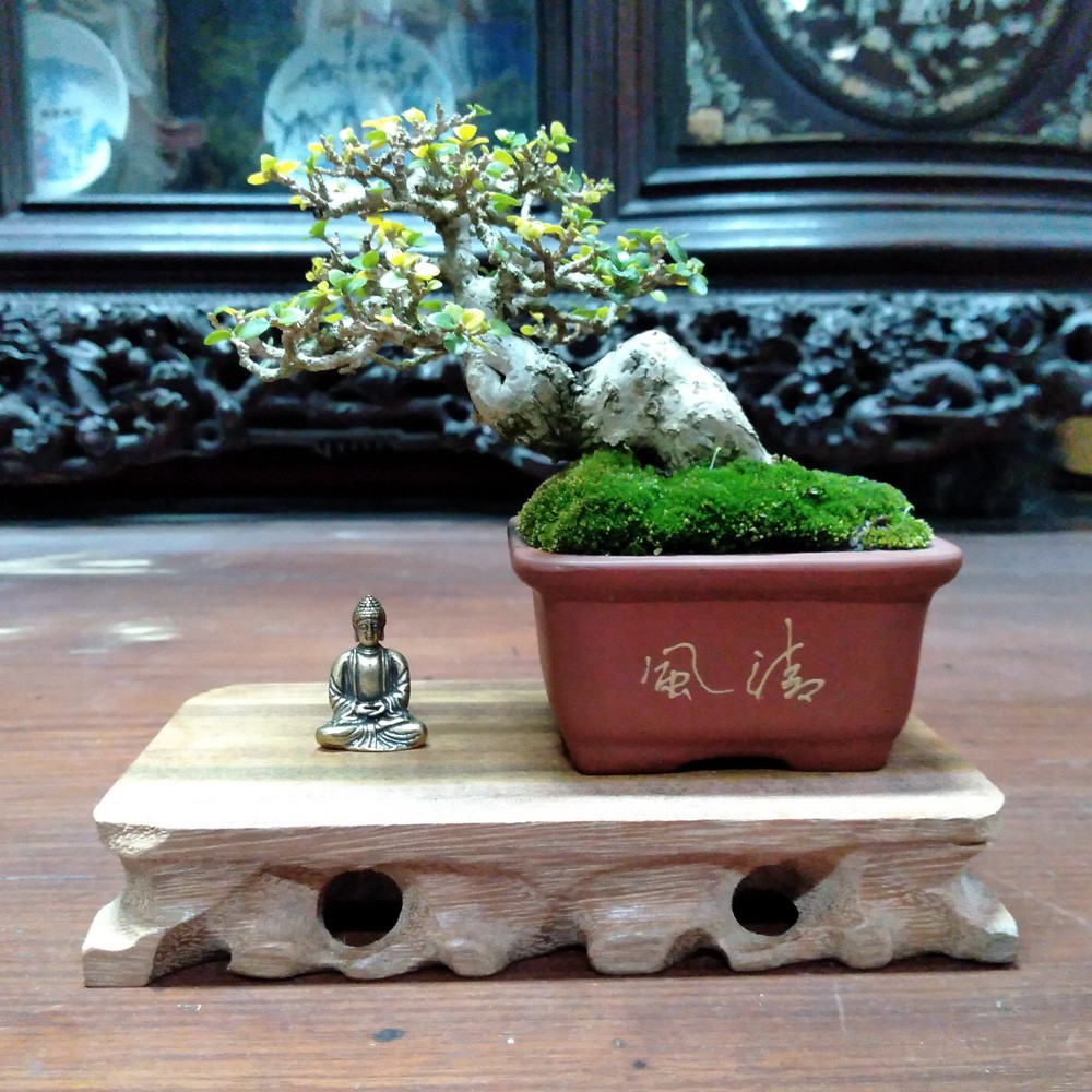 Tượng Phật mini bằng đồng giá rẻ làm phụ kiện tiểu cảnh, phụ kiện bàn trà, trang trí bonsai, làm quà tặng