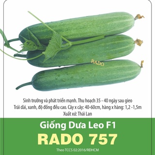 Hạt giống dưa leo lai f1 rado 757