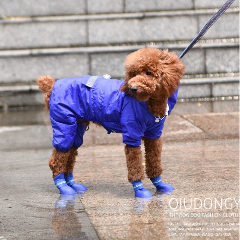 Set 4 giày đi mưa chống thấm nước màu sắc dễ thương cho cún cưng