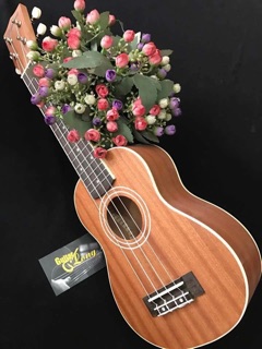 Đàn ukulele soprano VT-550