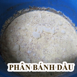 MEN Ủ PHÂN CÁ, BÁNH DẦU - TKS-PROTI Chai 100ml