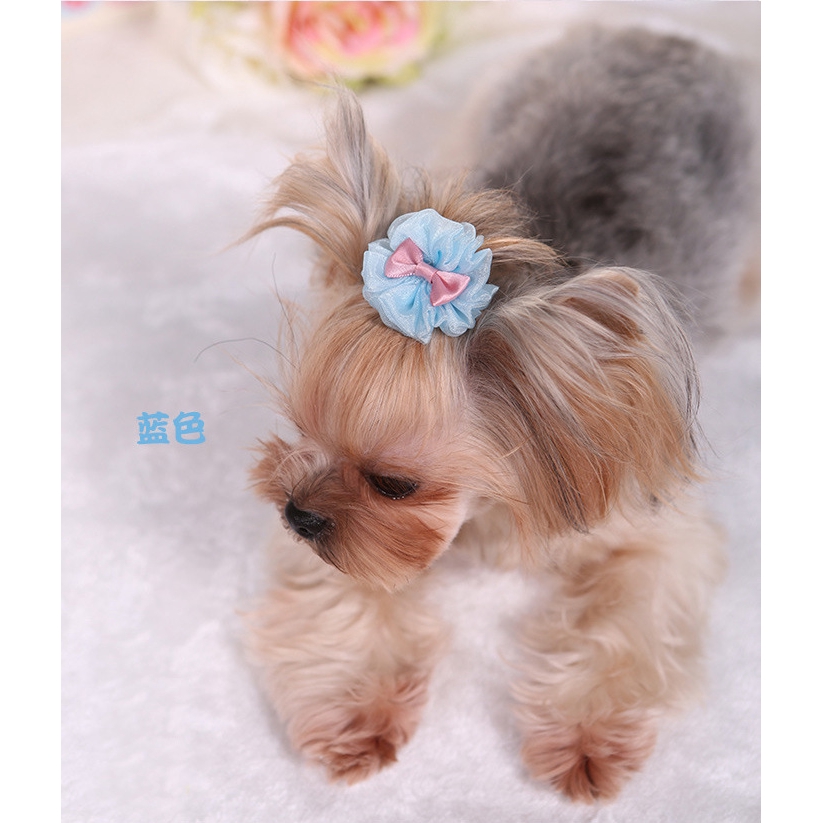Kẹp Nơ Dễ Thương Thời Trang Cho Thú Cưng