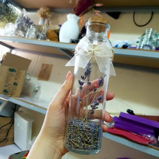 Lọ hoa lavender