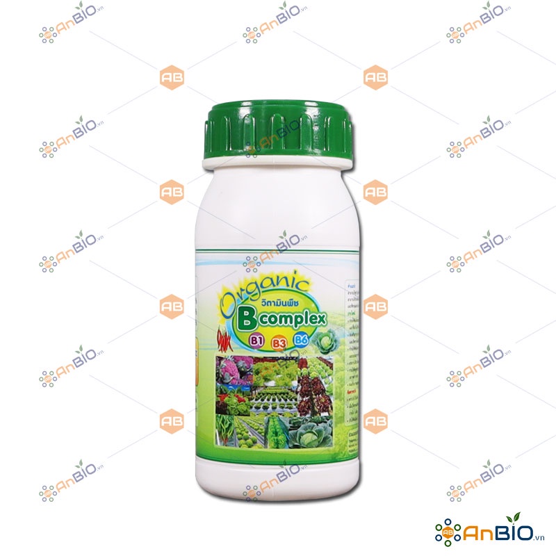 Vitamin B1–36 ORGANIC B COMPLEX - B1 Thái Lan - chai 500ml CHUYÊN DÙNG KÍCH HOA LAN - A1.1014