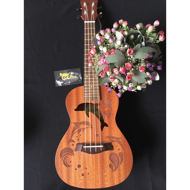 Đàn Ukulele Concert MHĐ CV-65 CB2