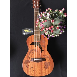 Đàn ukulele concert mhđ cv-65 cb2