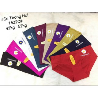 COMBO 5 QUẦN LÓT SU NỮ HOA CÚC ❤️