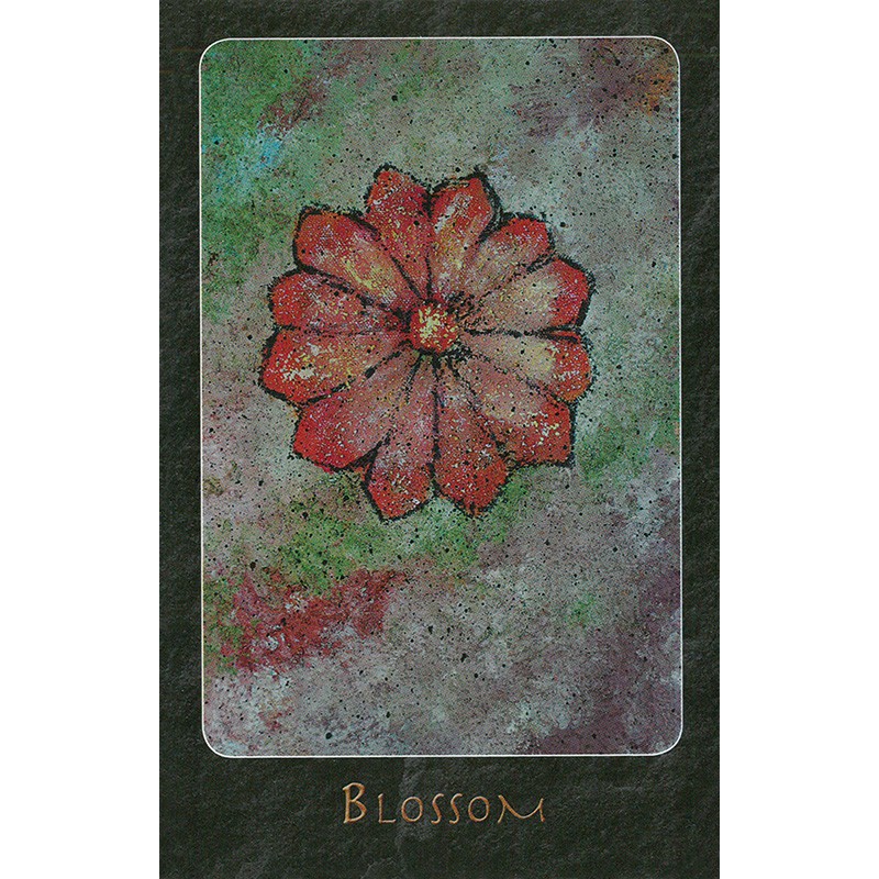 Bộ Bài A Shaman Oracle (Mystic House Tarot Shop) - Bài Gốc Authentic Chính Hãng 100%