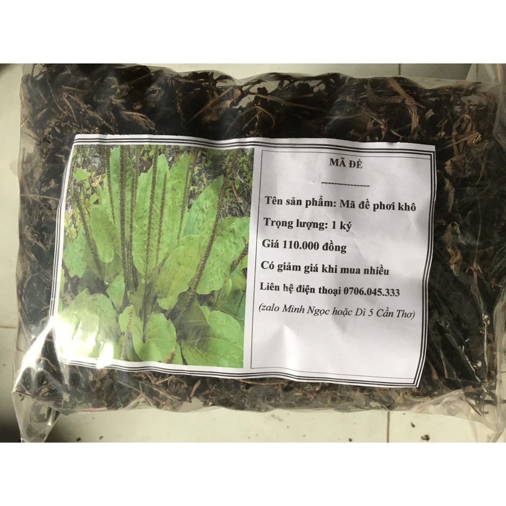 Cây mã đề phơi khô 1 ký