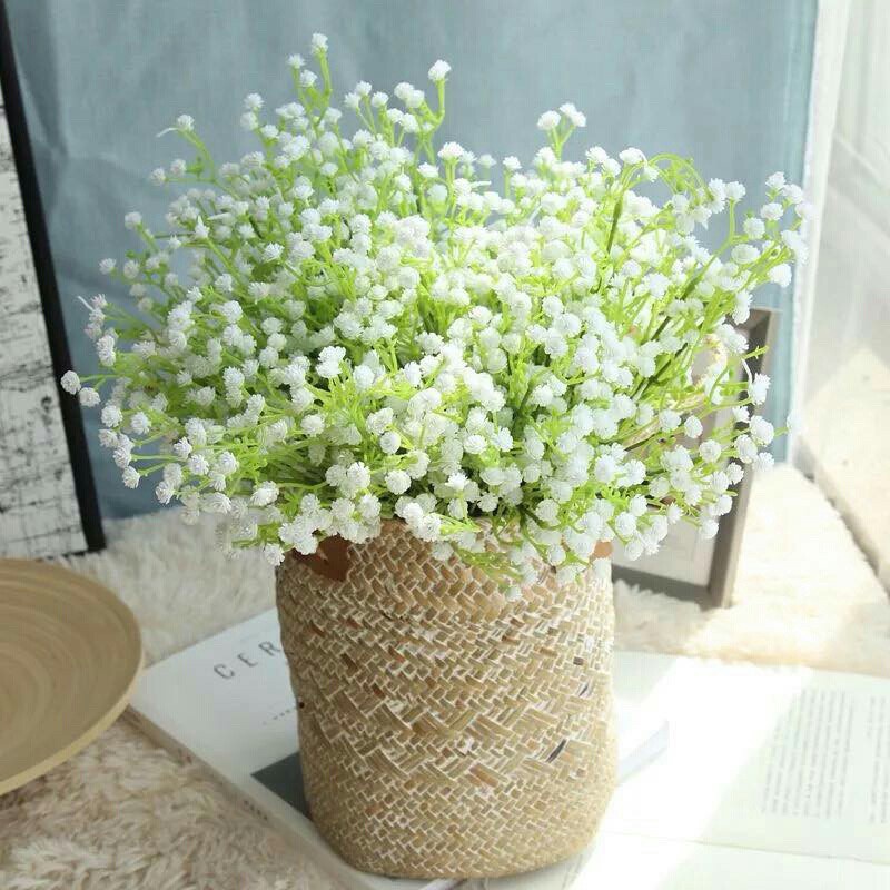 Hạt Giống Hoa Baby Trắng (50 Hạt) - [MUA 3 TẶNG 1 CÙNG LOẠI]