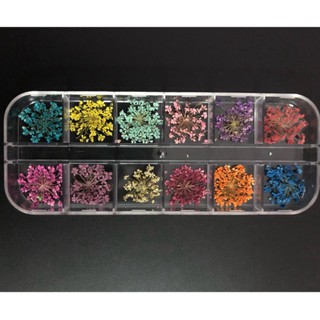 hoa khô đắp gel ẩn cho móng 12 màu giá sỉ phụ kiện nail đồ nail giá rẻ hoài út Nail Store - Phụ kiện nail mxbond shop va