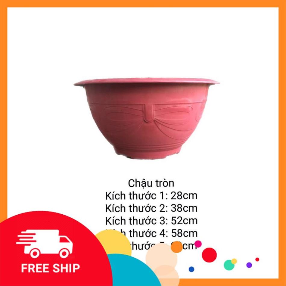 [Free Ship] Chậu trồng hoa sen nước T35cm chậu không đục lỗ, chậu nuôi cá Tặng Kèm Phân Bón