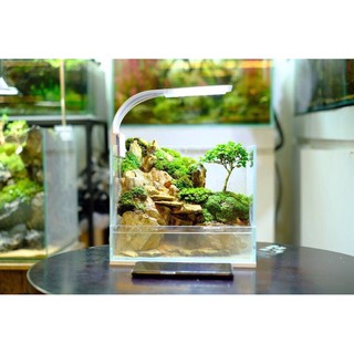 Đèn led kẹp cho hồ cá, cây cảnh trong nhà